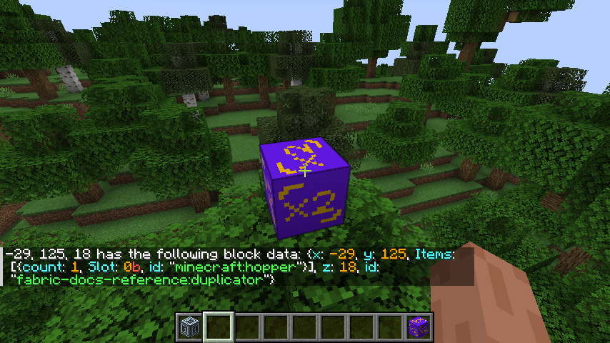 Duplizierungsblock und Ausgabe von /data get block, die das Item im Container anzeigt