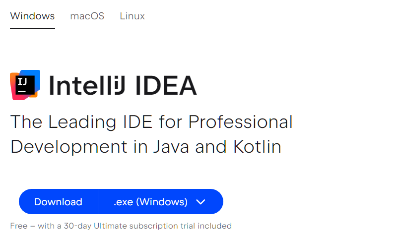 Prompt per scaricare IntelliJ IDEA