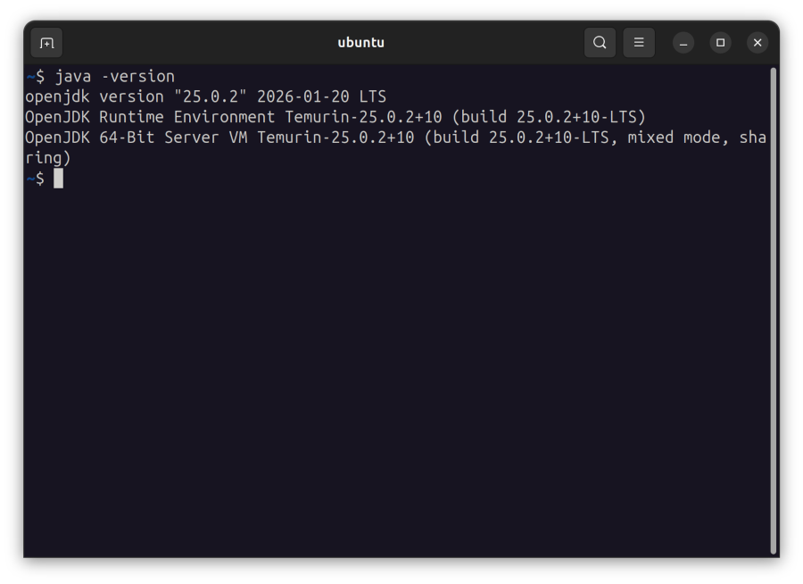 Terminal with "java -version" typed in