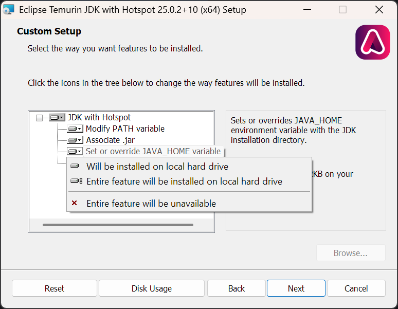 Java 25 installer with "Set JAVA_HOME variable" and "JavaSoft (Oracle) registry keys" highlighted